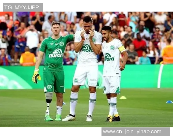 沙佩科恩斯与博塔弗戈对决前瞻分析及胜负预测 沙佩科恩斯与博塔弗戈对决前瞻分析及胜负预测